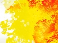 MO-06