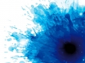 MO-11