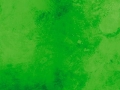 MO-24