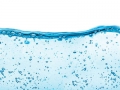WA-01
