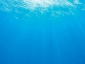 WA-04