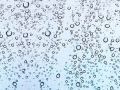 WA-07
